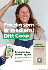 Coop Daglivs reklamblad vecka 41 Sida 8