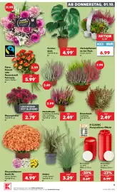 Kaufland DE tilbudsavis uge 40 Side 9