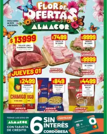 Catálogo Almacor semana 40 Página 1: Costilla de cerdo €74,99, Churrasquito de cerdo €9.999,00