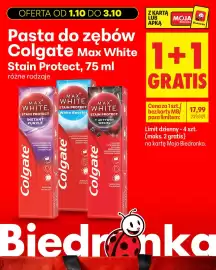 Biedronka gazetka Strona 17