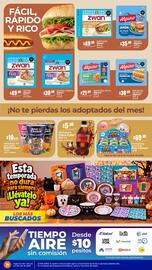 Folleto Tiendas Neto Página 8: Zwan jamón de pavo virginia €30,00, Best Choice Veladora de repuesto €10,00