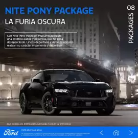 Catálogo Ford Página 21