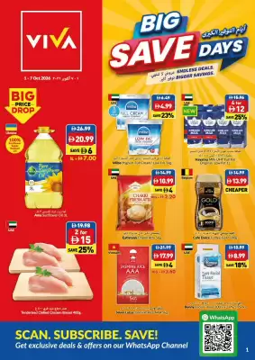 Viva leaflet (valid until 7-10)
