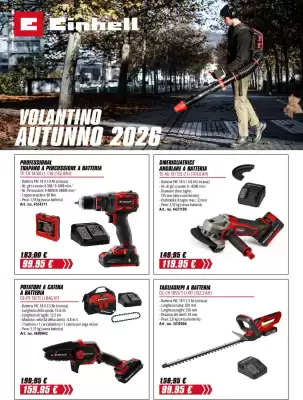 Einhell (valido fino al 31-01)