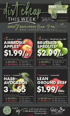 The Root Cellar flyer (valid until 7-10)