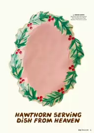 Rice catalogue Page 17