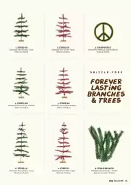Rice catalogue Page 27