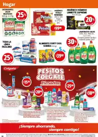 Folleto Farmacias Guadalajara Página 10