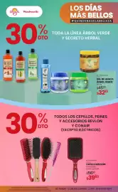 Catálogo Woolworth Página 10: Arbol verde - gel de linaza €32,13, Revlon - cepillo €39,83