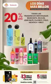 Catálogo Woolworth Página 29