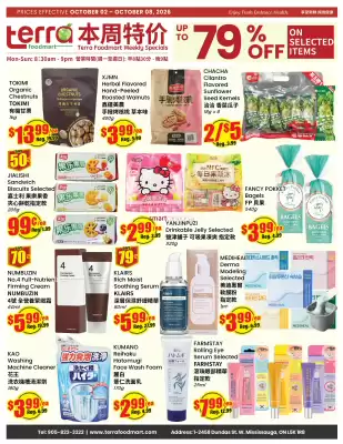 Terra Foodmart flyer