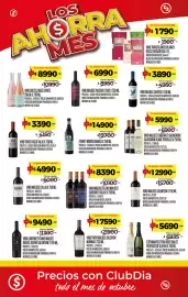 Folleto Supermercados DIA Página 23: Killka vino malbec/blend malbec/cabernet €8.390,00