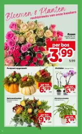 Dekamarkt folder week 41 Pagina 18: Orchidee €5,99, Pompoen opgemaakt €6,99