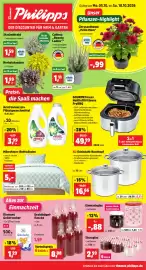 Thomas Philipps Prospekt woche 41 Seite 1: Diamant Gelierzucker €1,29, Ariel Universal+ Flüssigwaschmittel €3,99
