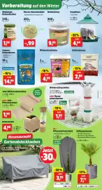 Thomas Philipps Prospekt woche 41 Seite 2: Vogelpick Vogelfutter Streufutter €4,99, Mehlwürmer €9,99
