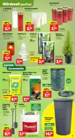 Thomas Philipps Prospekt woche 41 Seite 3: GartenFlora Herbst-Pflanz- und Blumenerde €2,99, XL-Grablicht €2,22
