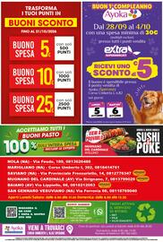 Volantino Extra Supermercati Pagina 16