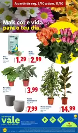 Folheto Lidl semana 41 Página 4: Plantas Variadas €14,99, Mix Calathea €3,99