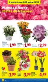 Folheto Lidl | Film de Semana Página 4: Ramo de Flores da Época Nacional €3,99, Crisântemo €1,99