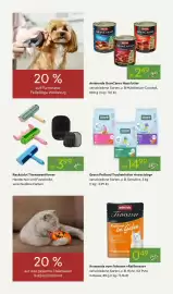 Pflanzen Kölle Prospekt woche 41 Seite 14