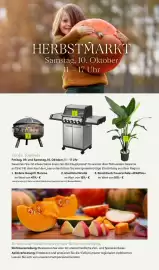 Pflanzen Kölle Prospekt woche 41 Seite 8