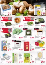 Selgros Prospekt woche 41 Seite 20: Weißkohl €6,99, Weideglück Deutscher Edamer oder Gouda €3,99