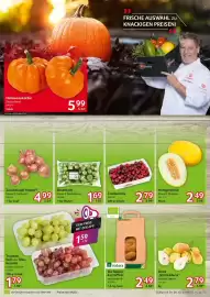 Selgros Prospekt woche 41 Seite 3: Zwiebelzopf Roscoff €4,99, Trauben hell oder blau, kernlos €1,59