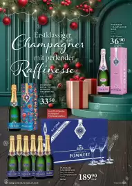 Selgros Prospekt Seite 20