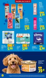 Lidl weekly ad week 41 Page 12
