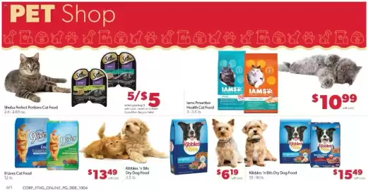 Family Fare weekly ad week 41 Page 13