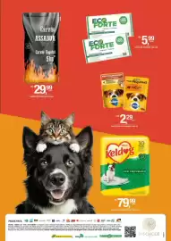 Catálogo DB Supermercados Página 7: Pedigree - ração sabores €2,29, Keldog - tapete hig dry eco per c30 €79,99