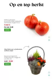 Intratuin folder week 41 Pagina 12: Najaarsarrangement €19,99, Eetbare pompoen €5,00