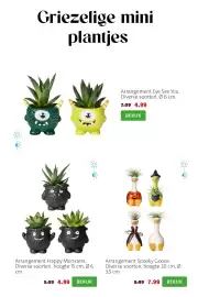 Intratuin folder week 41 Pagina 2: Arrangement Spooky Goose €7,99, Arrangement Happy Monsters €4,99