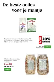 Intratuin folder week 41 Pagina 9: Intratuin hondenkoekjes €7,99, Royal Canin honden- en kattenvoeding €7,29