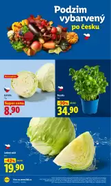 Lidl leták Strana 16