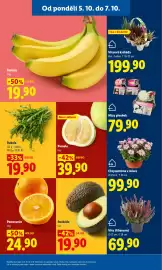 Lidl leták Strana 17