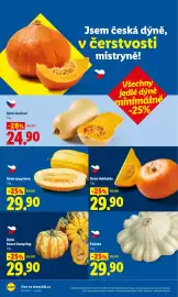 Lidl leták Strana 12: Dýně špagetová €29,90, Dýně máslová €24,90