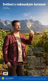 Lidl leták Strana 48