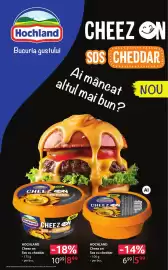 Catalog Selgros Pagină 13