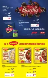 Catalog Selgros Pagină 16