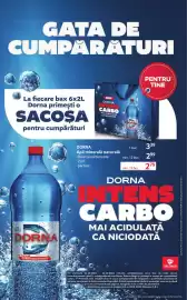 Catalog Selgros Pagină 26
