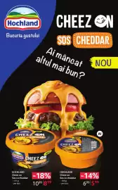 Catalog Selgros Pagină 8: Hochland Cheez on Sos cu cheddar €5,99, Hochland Cheez on Sos cu cheddar €8,99