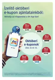 DM akciós újság Oldal 19