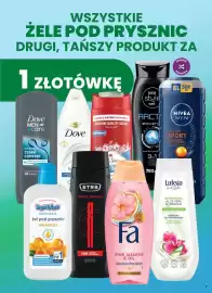 Dino gazetka Strona 7