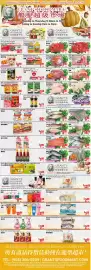 Oceans Fresh Food Market flyer week 40 Page 2: Golden Pompano €4,99, Nestle coffee mate €8,99