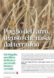 Volantino Supermercati Gulliver Pagina 10