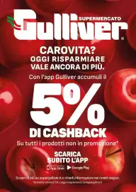Volantino Supermercati Gulliver Pagina 100