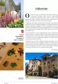 Volantino Supermercati Gulliver Pagina 3