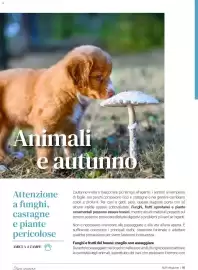 Volantino Supermercati Gulliver Pagina 85