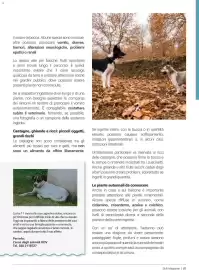 Volantino Supermercati Gulliver Pagina 87